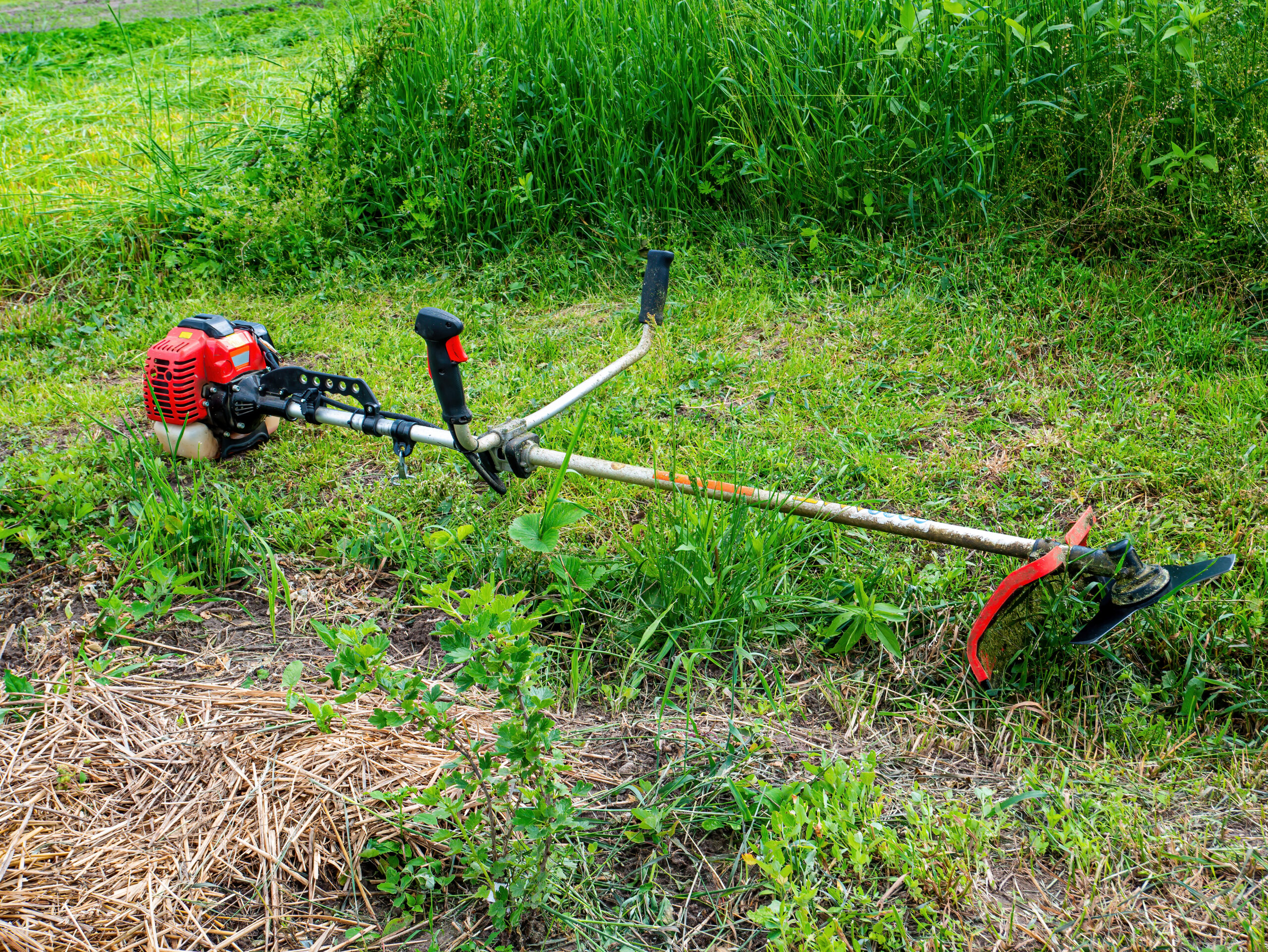 Qual a Melhor Roçadeira da Stihl em 2025